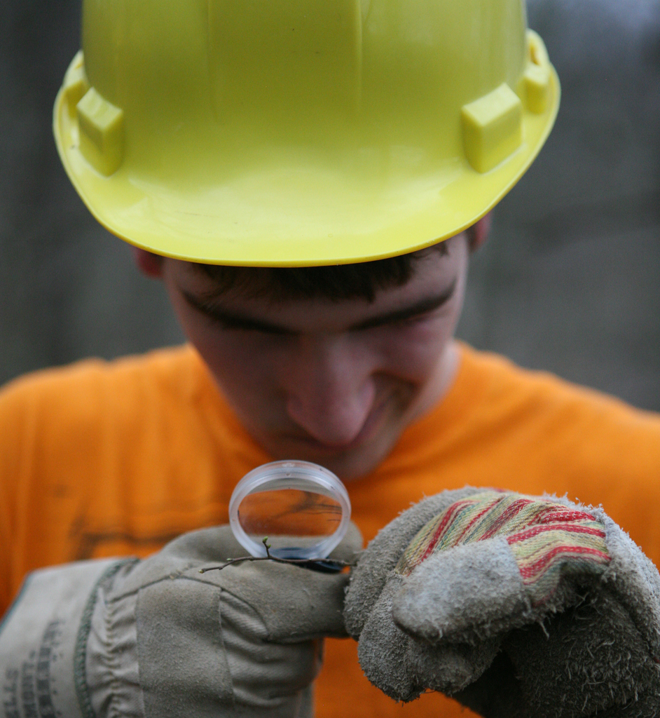 Junger Mitarbeiter mit Schutzhelm und Schutzhandschuhen bei der Prüfung